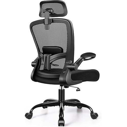 FelixKing Office Chair, Desk Chair with Adjustable Lumbar Support, Ergonomic Computer Chair with High Back and Armrest, Adjustable Height Gaming Chair Home Office Swivel Chair(Black)