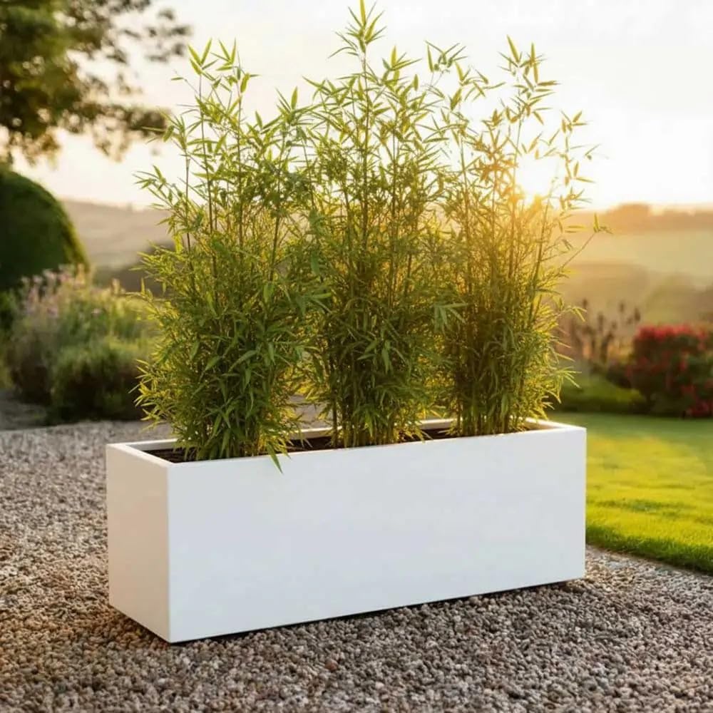 Tulipy 1.2m/1m/75cm/70cm Zinc Galvanised Trough Planter | No Assembly Needed | Lightweight (Matte White, L100cm x W40cm x H40cm)