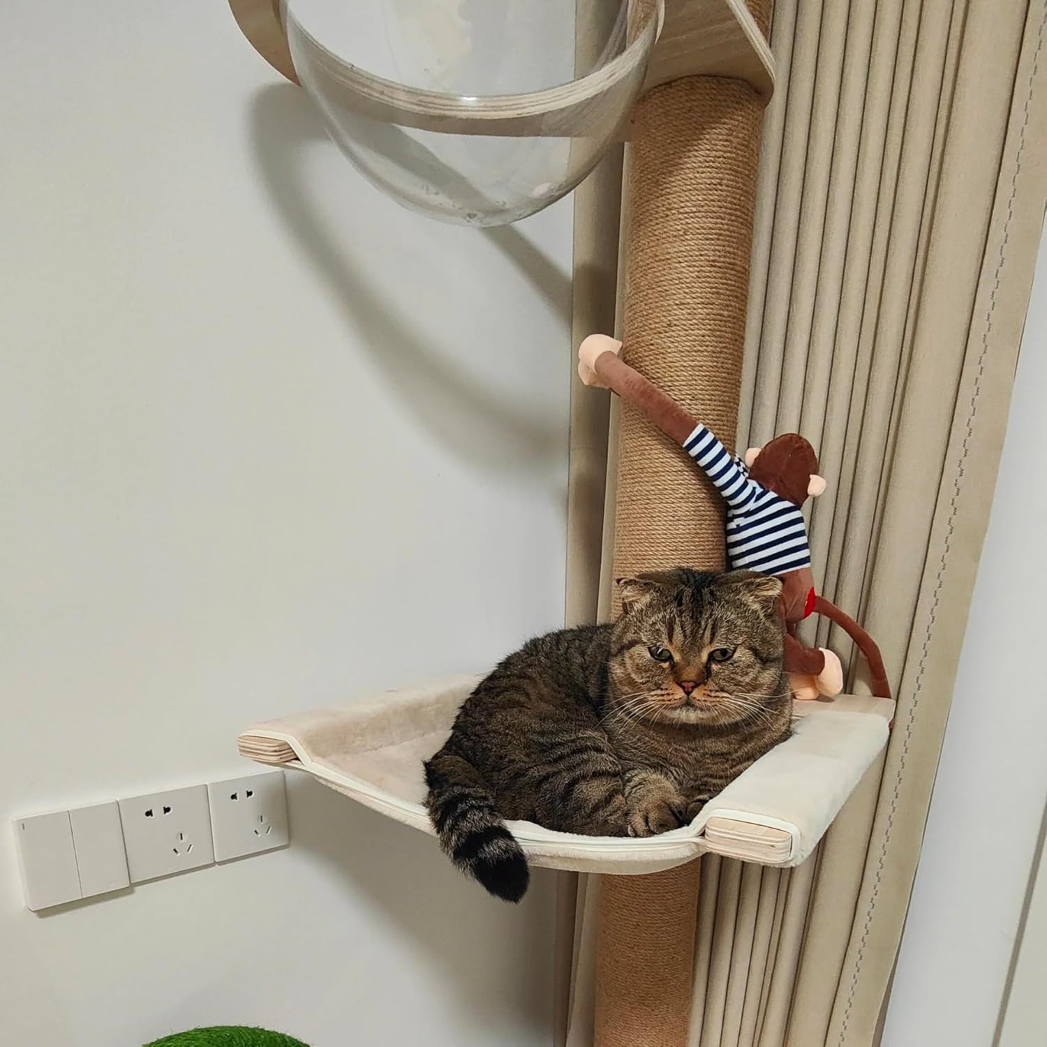 review Floor to Ceiling Cat Tree Accessories Hammock Accessories Cat Climbing Frame Hammock