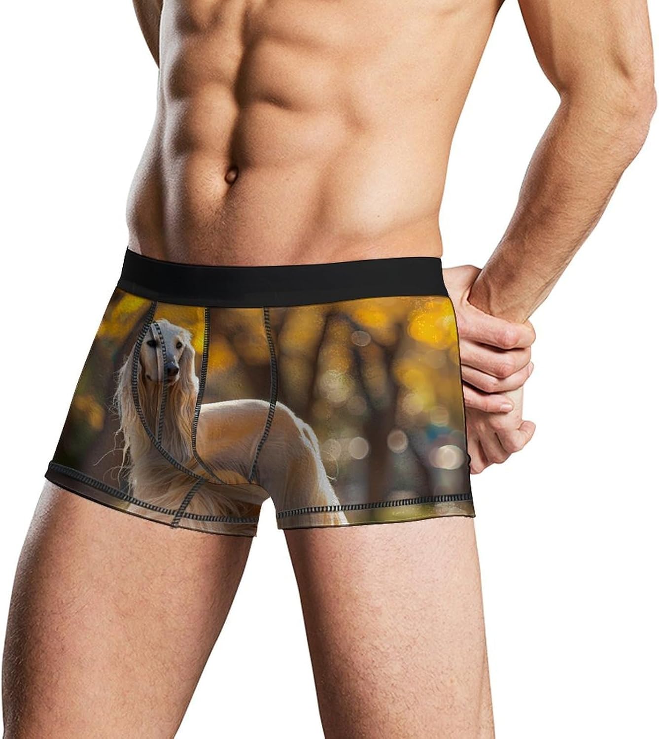 Afghan Hound With Long Hair Novelty Men's Trunks Soft Breathable Underwear Patterned Stretch Briefs