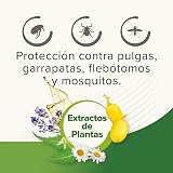 Ver la foto 4