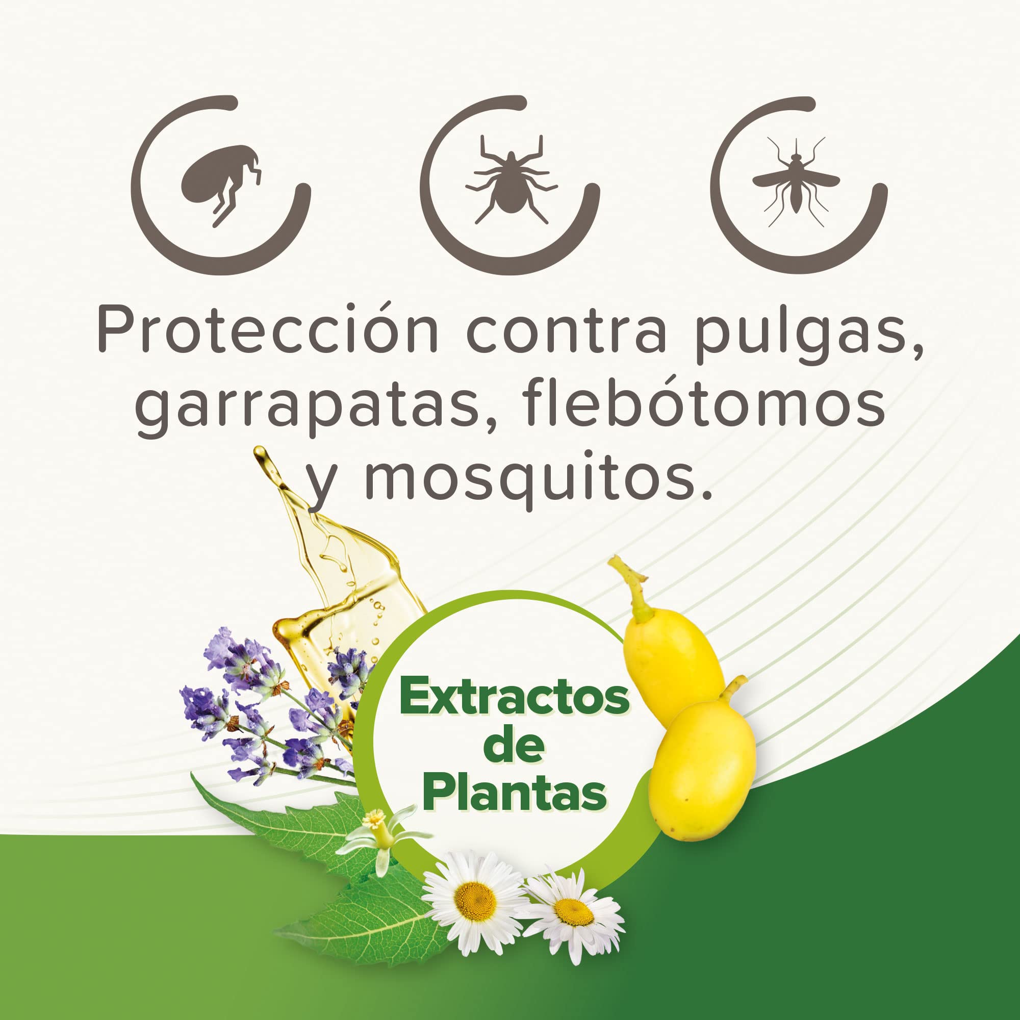 Beaphar Pipetas repelentes Naturales para Gatos - 3 Meses de protección Natural contra garrapatas, pulgas y Mosquitos - para Todo Tipo de Gatos - 3 pipetas de 1ml, El embalaje puede variar