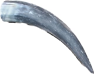 1 Raw Unfinished Cow Horn # 2763 Natural Colored
