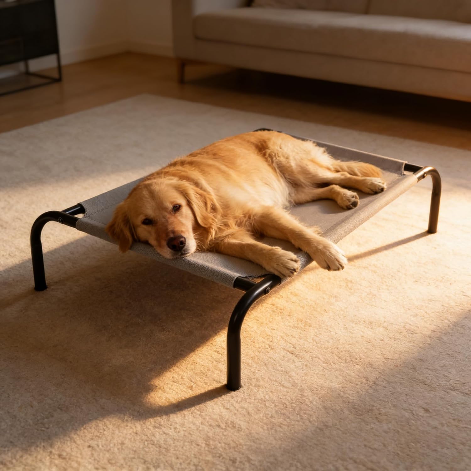 Elevated Dog Bed with Breathable Mesh Fabric, Raised Pet Cot with Airflow and Support, Durable and Easy to Clean (Grey, Large)