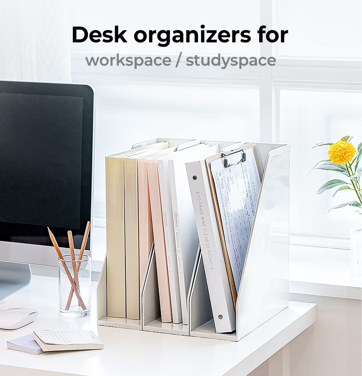 carrotez Office Rack/Display