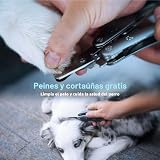 Ver la foto 7