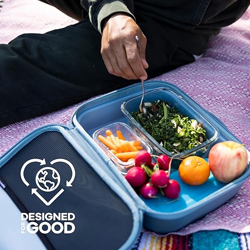 Miniatura 3 de Hydro Flask Carry Out - Lonchera térmica para adultos, para hombres y mujeres, 5 L, color morado ciruela