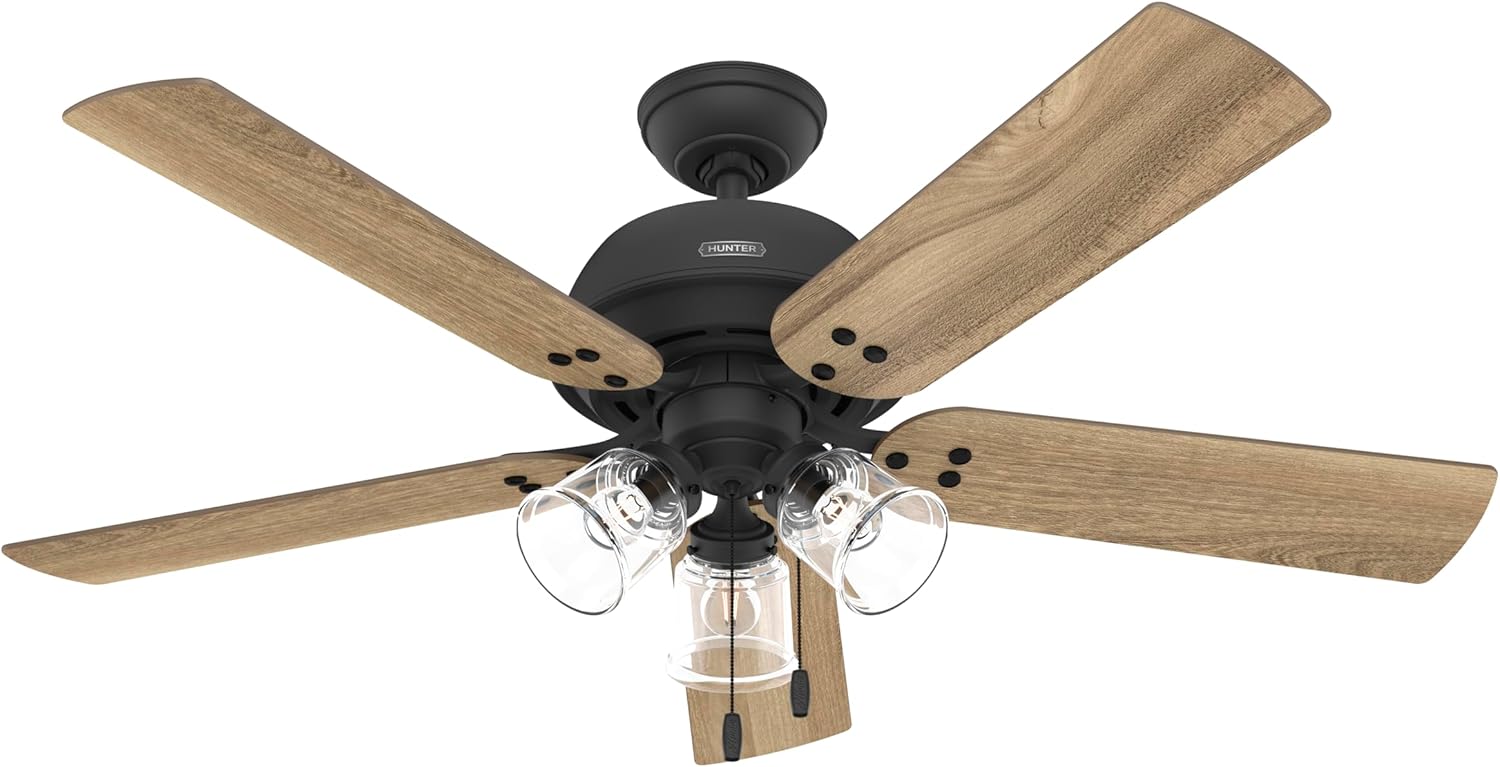 Hunter 52 inch Indoor Ceiling Fan with LED Lights - Black Ceiling Fan with Pull Chain, for Bedroom, Living Room, or Kitchen, Standard Mount, No Remote, 5 Blades - Shady Grove 52381, Matte Black