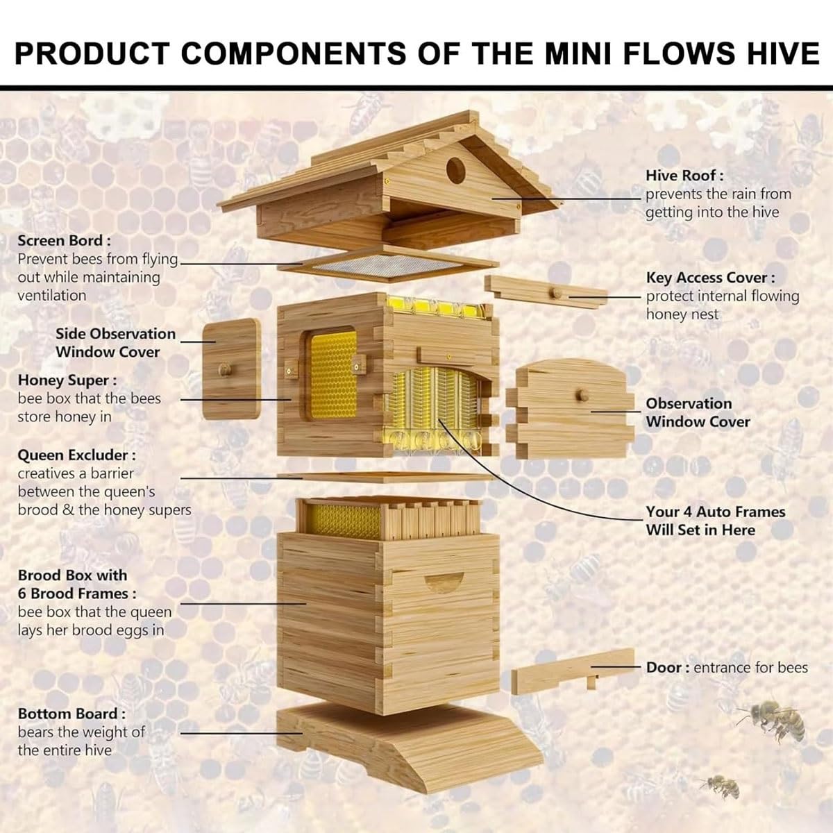 Kit de démarrage de ruche avec 4 cadres et 6 plateaux en nid d'abeille, boîte complète en bois d'apiculture avec fenêtre d'observation et bec à miel, pour pollinisateurs de jardin
