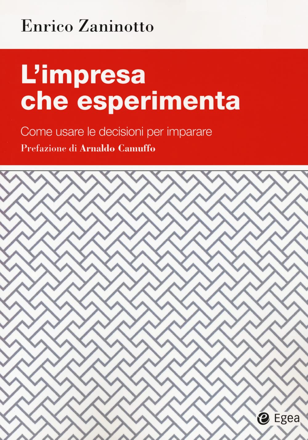 L'impresa Che Esperimenta. Come Usare Le Decisioni Per Imparare - 4