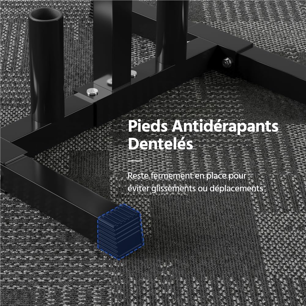 Abician Support pour Poids Charge max. 400 kg Compatible Alésage >28mm | Rangement 6 Disques et 2 Barres Compatible Poids Olympique et Standard Structure Métal Antirouille pour Maison Salle de Sport