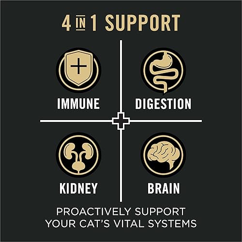 Miniatura 3 de Purina Pro Plan Vital Systems Fórmula de salmón y arroz para gatos senior, fórmula seca 4 en 1, bolsa de 3 libras