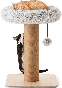 FUKUMARU Cat Scratching Post with Bed, Plant Style Kitten Scratcher, Solid Wood Post, Small Cat Tower Tree with Natural Jute Rope for Indoor Kitten & Cats