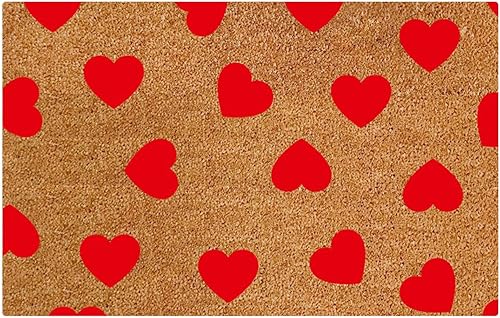 Levmjia Alfombra antideslizante para interiores y exteriores para decoración del día de San Valentín para puerta delantera baño entrada alfombra
