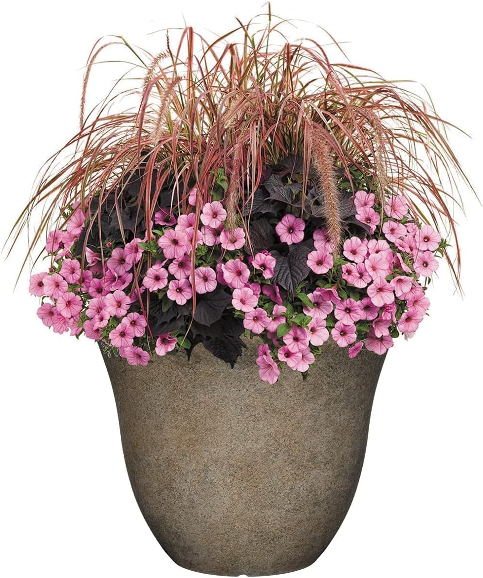 Classic Home and Garden Patio Pot Honeysuckle Planter, 15 Inch, Fossil : Garden & Outdoor