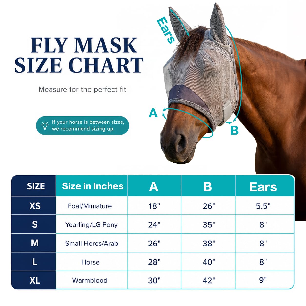 Horse Fly Mask with Ears - UV Protection Fine Mesh Super Comfort Fly Masks for Horses, Adjustable Breathability Horses Masks, Pony Equine Fly Mask for Miniature Foal Draft Cob Srabian Full (Gray, L) - image 5