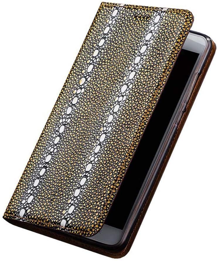 Housse pour Apple iPhone 11 Pro Max résistant aux chocs en TPU