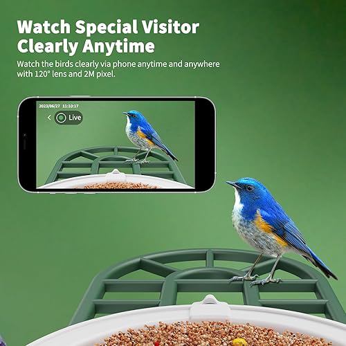 Miniatura 5 de Comedero para pájaros con cámara con panel solar para identificar especies de pájaros, casa inteligente para pájaros con cámara, vista en vivo de