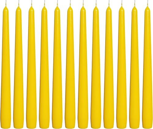 BOLSIUS Velas cónicas amarillas, paquete de 12 velas envueltas individualmente, sin perfume, de 10 pulgadas, 8 horas de combustión, calidad europea
