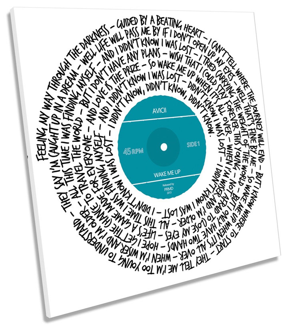 Wake Me Up Avicii Lyrics