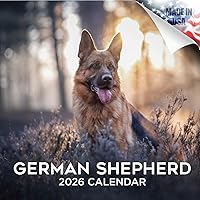 Vista 1141 de Razas de Perros 2017