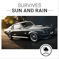 Vista 7 de Restaurador de plásticos de CarGuys, la solución definitiva para devolver la vida a la goma, el vinilo y el plástico, kit de 8 onzas