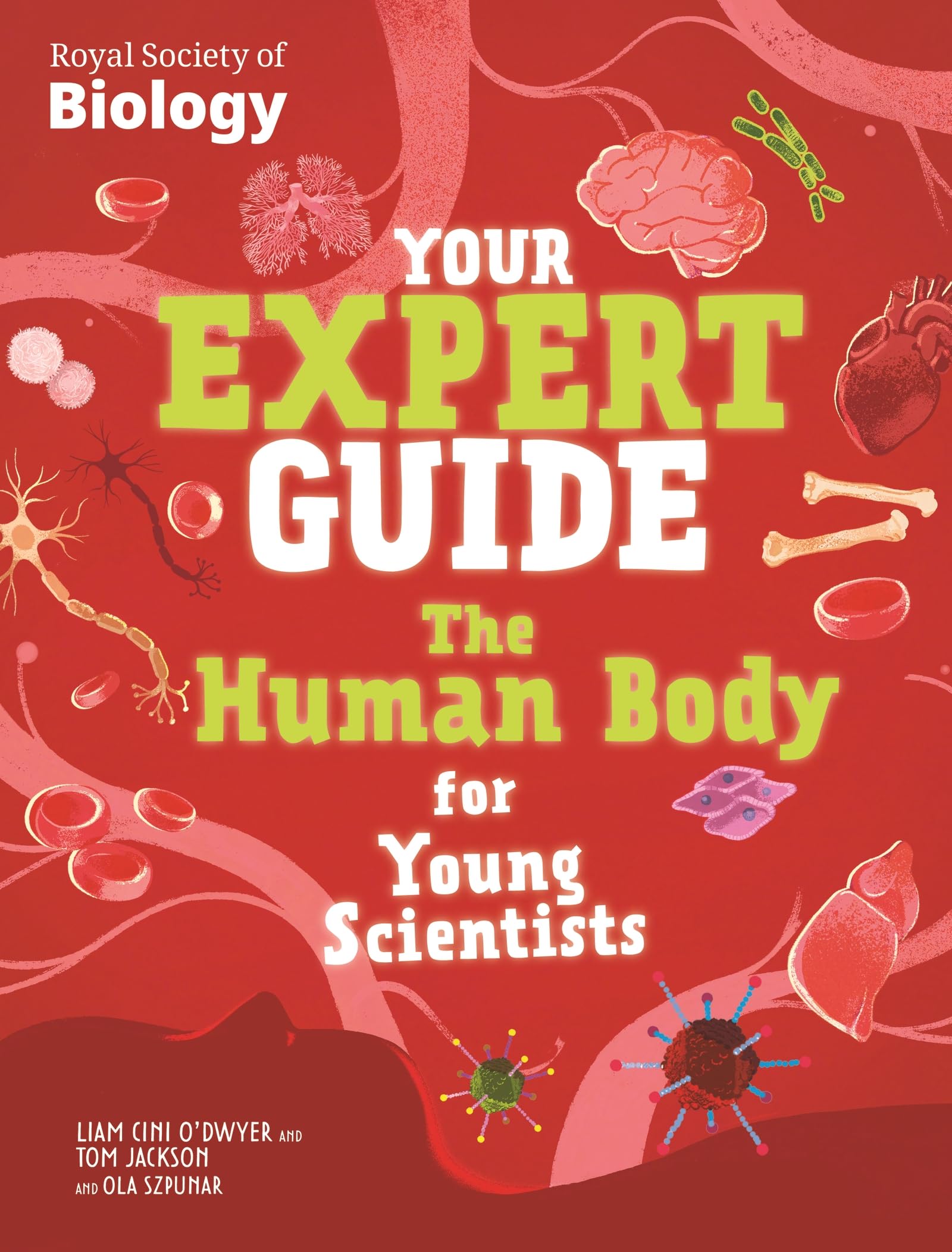 Your Expert Guide: The Human Body for Young Scientists by Tom... - 9781526328038