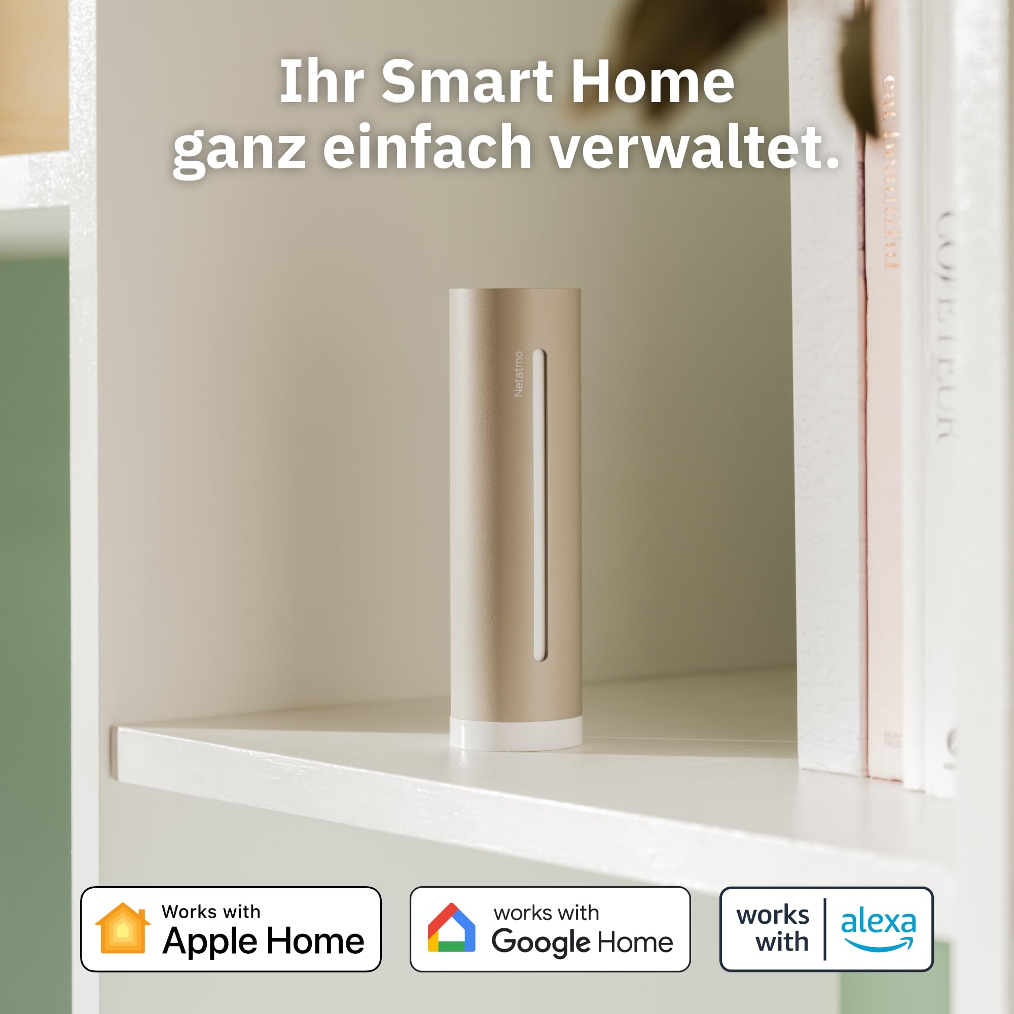 Netatmo Wetterstation ORIGINAL - 2. Generation, Innen & Außen, Temperatur, Luftfeuchtigkeit, Luftqualität, UV, Pollen, Wettervorhersage | Kompatibel mit Apple, Alexa, Google - Sand - NWS-S-EC
