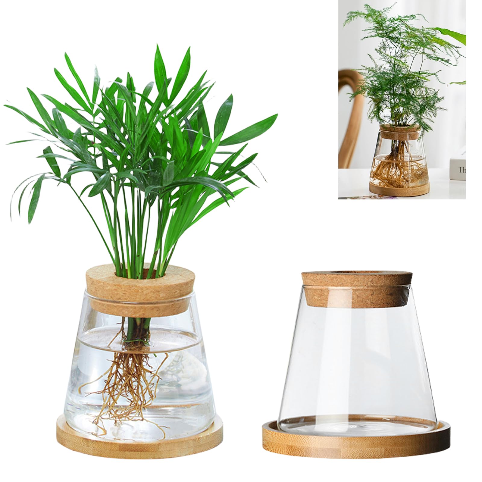 2 Vasi Idroponici In Vetro Con Vassoio Bambù - Stazione Propagazione Piante Per Casa E Ufficio - Foto 6