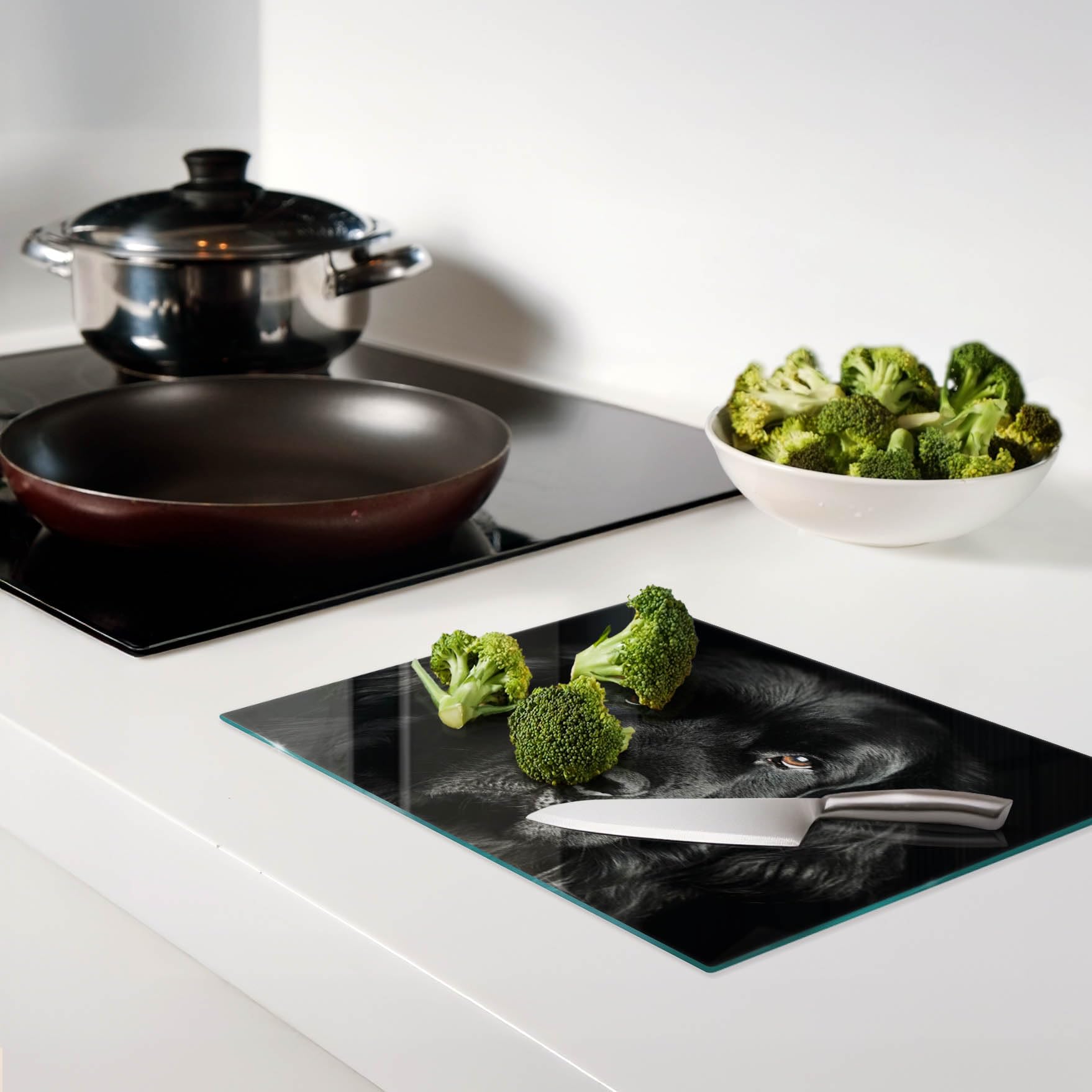 Multifonction : Planche en verre et couvercle 40x30 cm Terre-Neuve