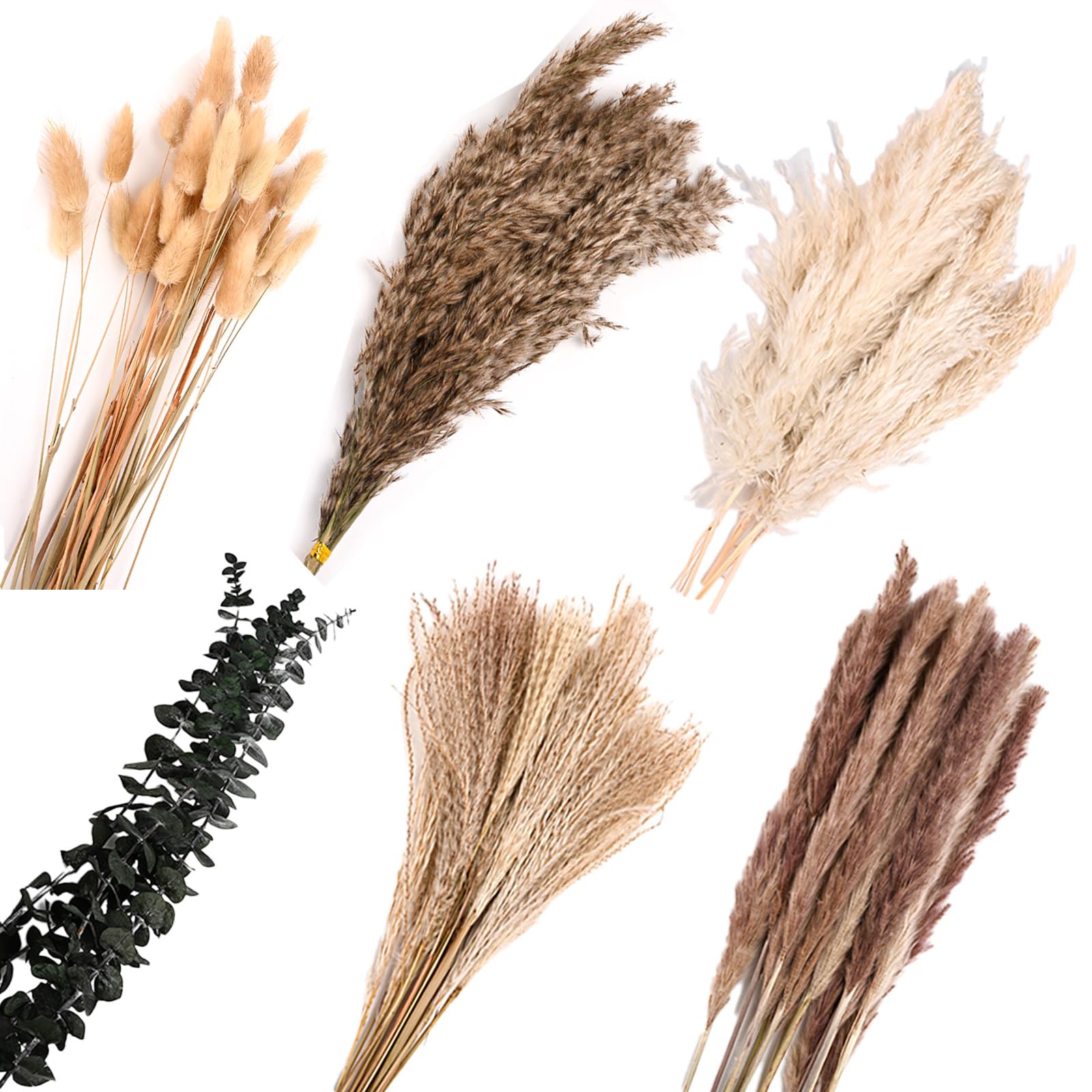 110 Pezzi Bouquet di Pampas Grass Essiccato, Naturale Fiori Secchi Decorativi, Pampas Decorative Abbinamento Eucalipto Essiccato, Fiori Boho per Soggiorno, Camera, Tavolo Matrimonio