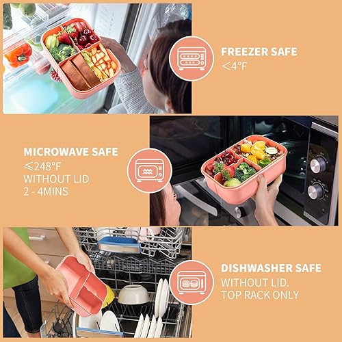 Miniatura 6 de MISS BIG Caja Bento, Caja Bento para Adultos, Lonchera, Contenedores de Almuerzo a Prueba de Fugas, Sin BPA y Sin Colorantes Químicos Caja Bento