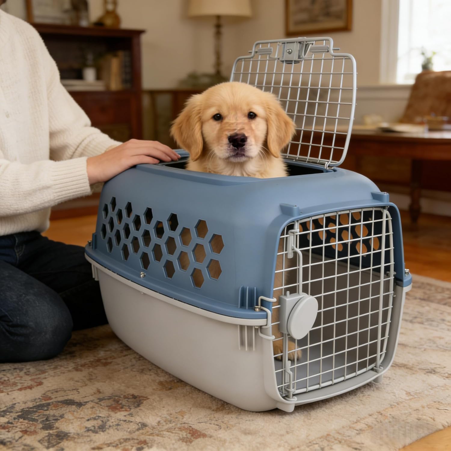 24 Inches Pet Kennel Carrier, Sturdy Portable 2-Door Top-Load Hard-Sided Pet Travel Carrier, Indoor & Travel Pet Cage, cat Kennel for Small Dogs & Cats, Blue and White