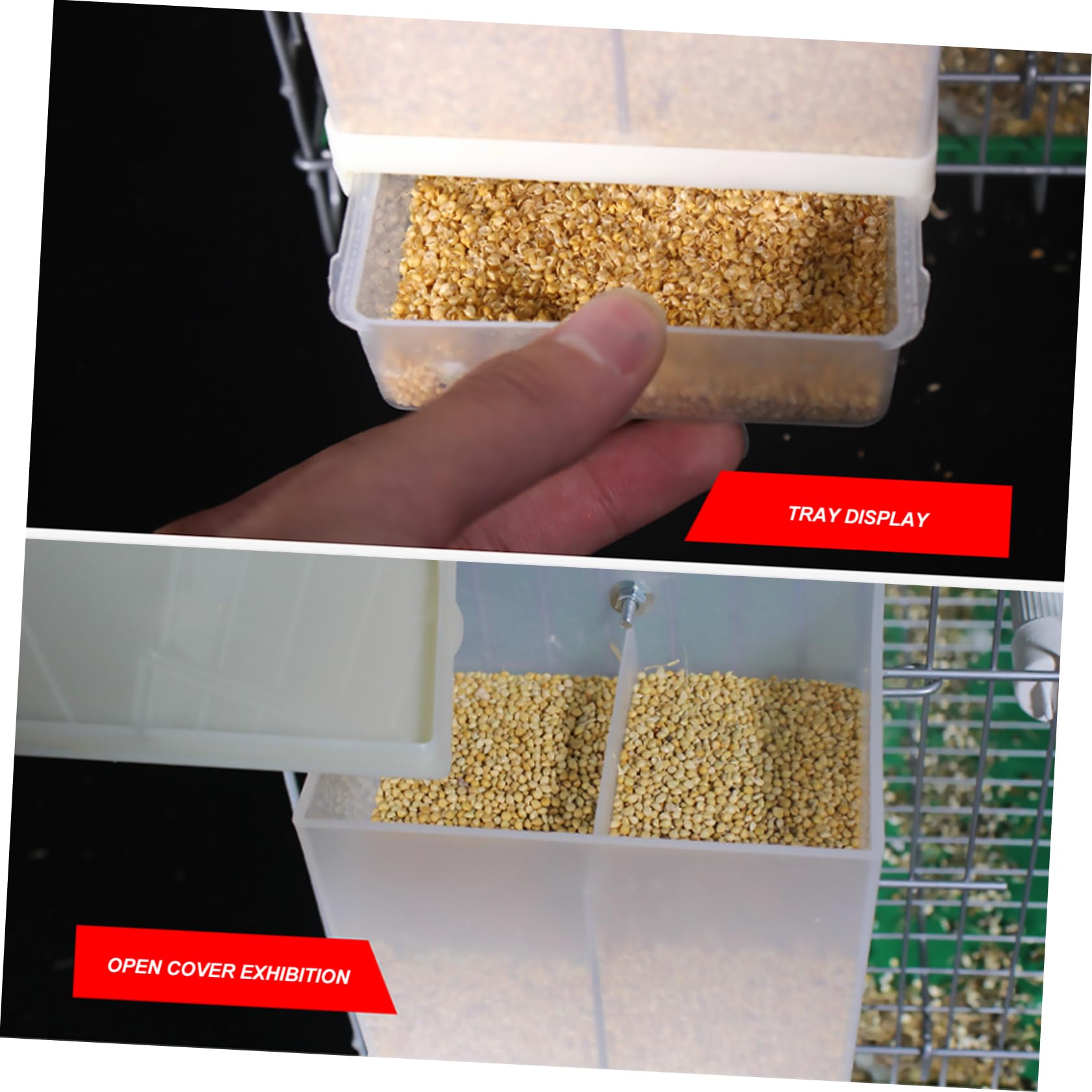 FRCOLOR 3 Pz mangiatoia per parrocchetti mangiatoie automatiche per animali domestici mangiatoie per uccelli alimentatore automatico mangiatoia automatica per piccione Spruzzatore