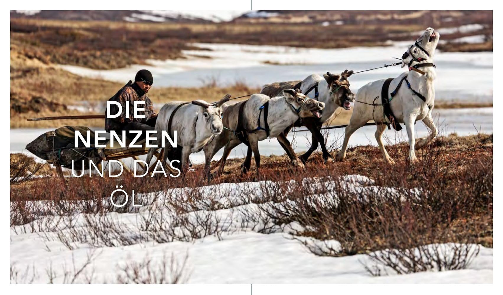 Im Bann des Nordens: Abenteuer am Polarkreis