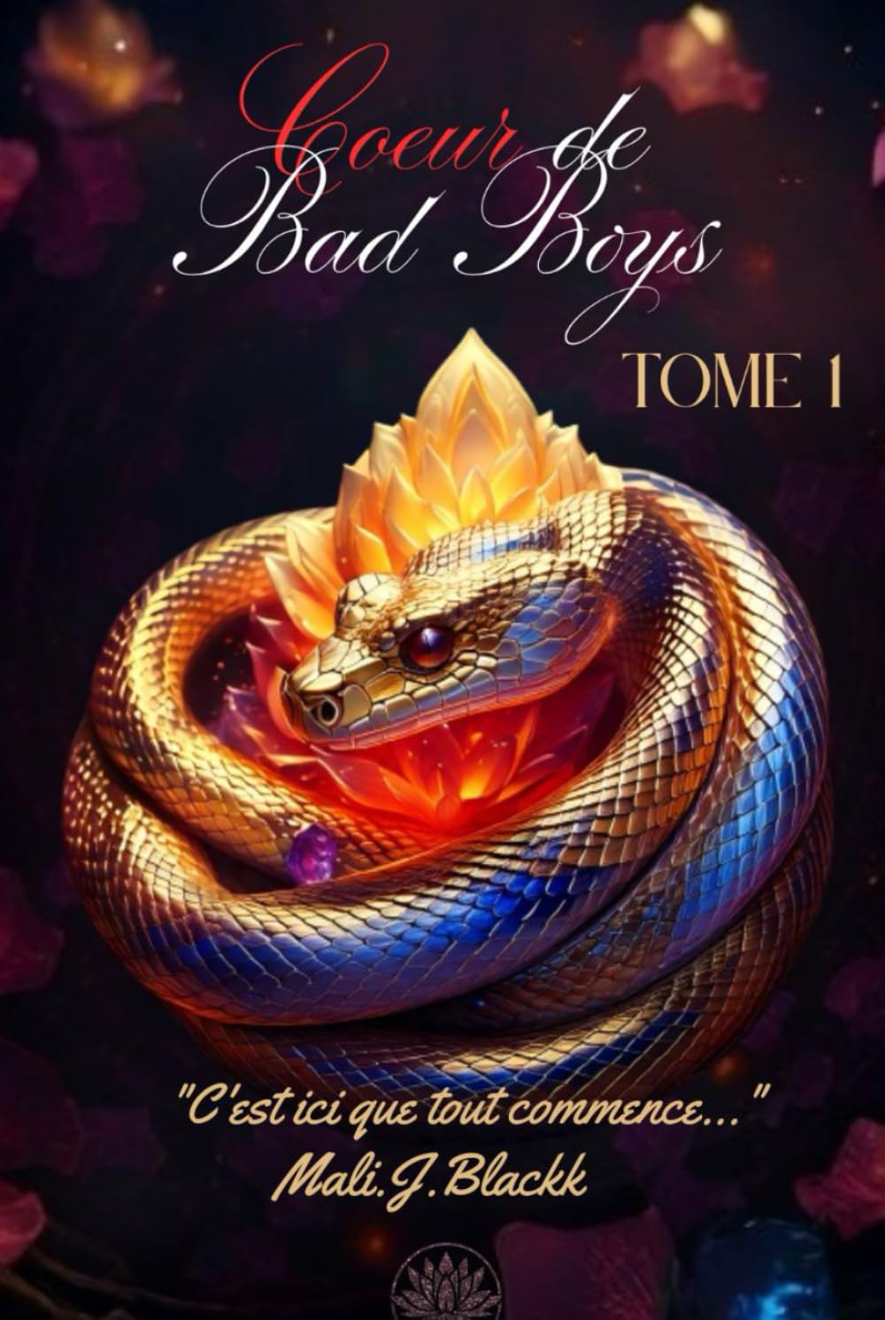Cœur de Bad Boys: tome 1