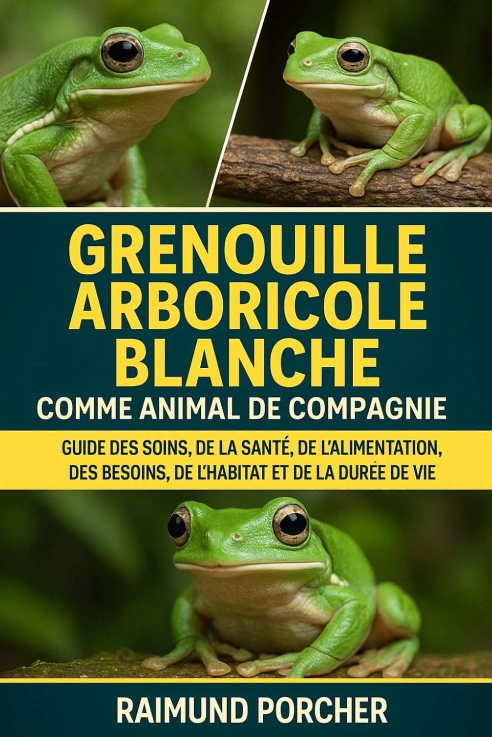 Grenouille arboricole blanche comme animal de compagnie: GUIDE DES SOINS, DE LA SANTÉ, DE L'ALIMENTATION, DES BESOINS, DE L'HABITAT ET DE LA DURÉE DE VIE