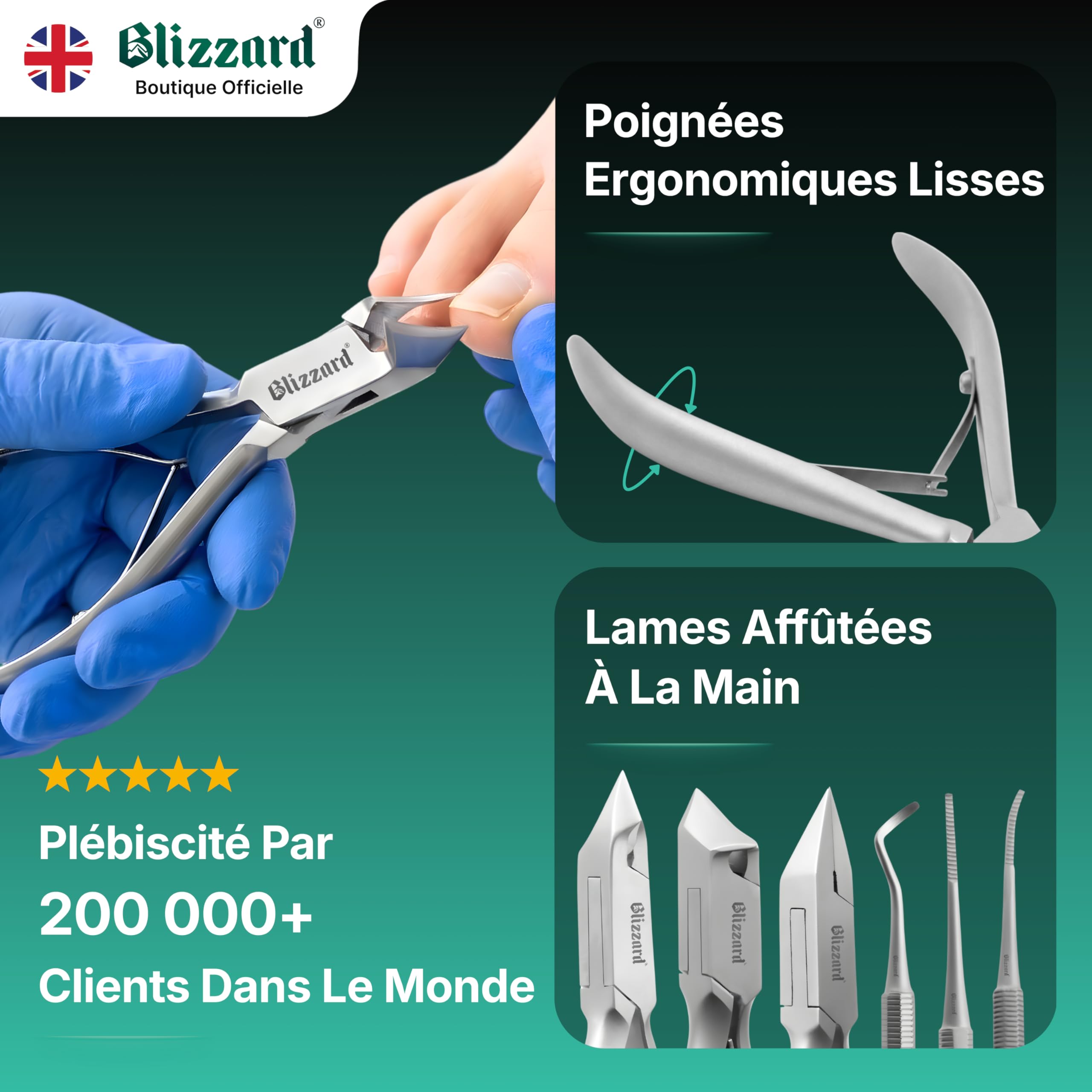 Blizzard Kit Pédicure Professionnel et Coupe Ongle Pied - Set de Podologie 5 Pièces pour Ongles Incarnés et Épais - Pince Coupante, Lime et Releveur - Acier Inox - Soin des Pieds Seniors et Hommes