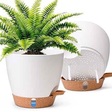 T4U 20cm Self Watering Plant Pots, Plastic White Plant Pots Indoor 2 Pack