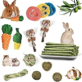 Shalwinn 17 Pcs Jouet pour Lapin à Mâcher, Bâtonnets de Foin Naturel Timothy, Accessoire pour Lapin
