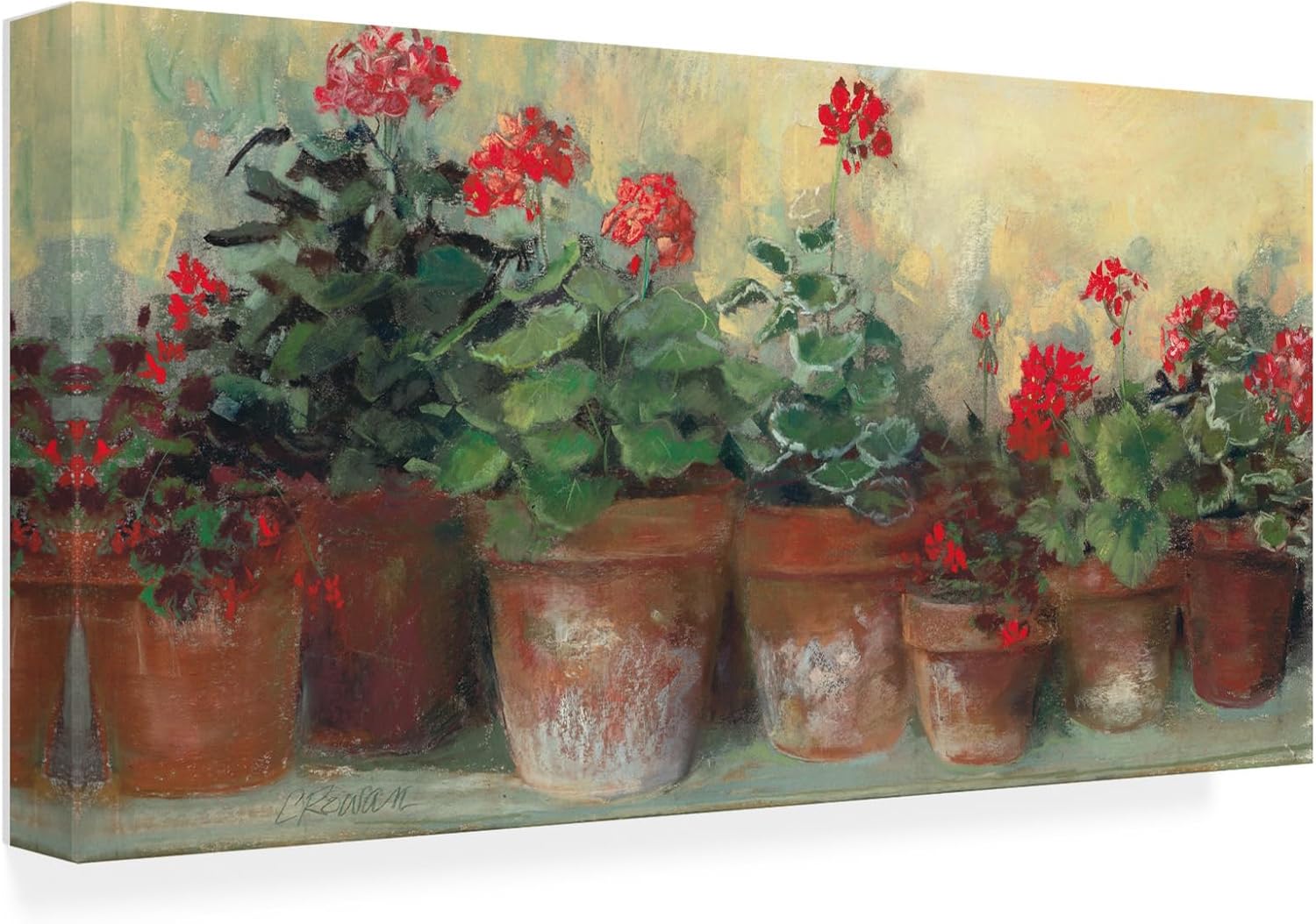 Carol Rowan Kathleens Geraniums Canvas Art