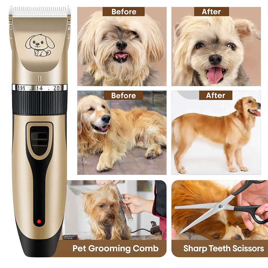 🐶 Best Pet Care Tips in India – Complete Guide for Healthy Pets 71ccAM9R8DL. SL1024