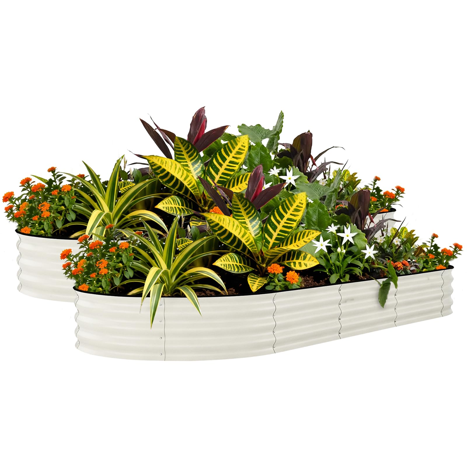 Crevyteg 2 Pack 8x4x1.5ft Galvanized Steel Raised Garden Beds – Rust-Resistant, Durable Planter Boxes for Vegetables & Flowers – Easy Assembly, Open Bottom, Protective Anti-Cut Edging – Beige