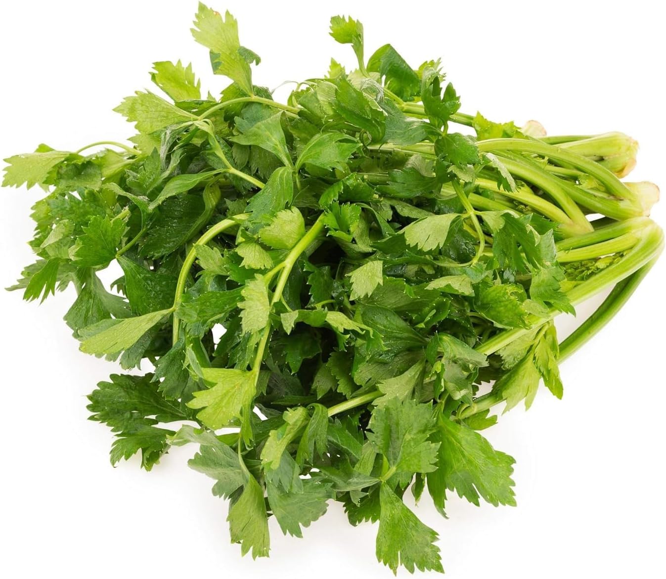 Fresh Parsley, 100g