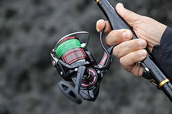 DAIWA PLAISIR 2500LBD リール ダイワ シグナス 2500XH-LBD
