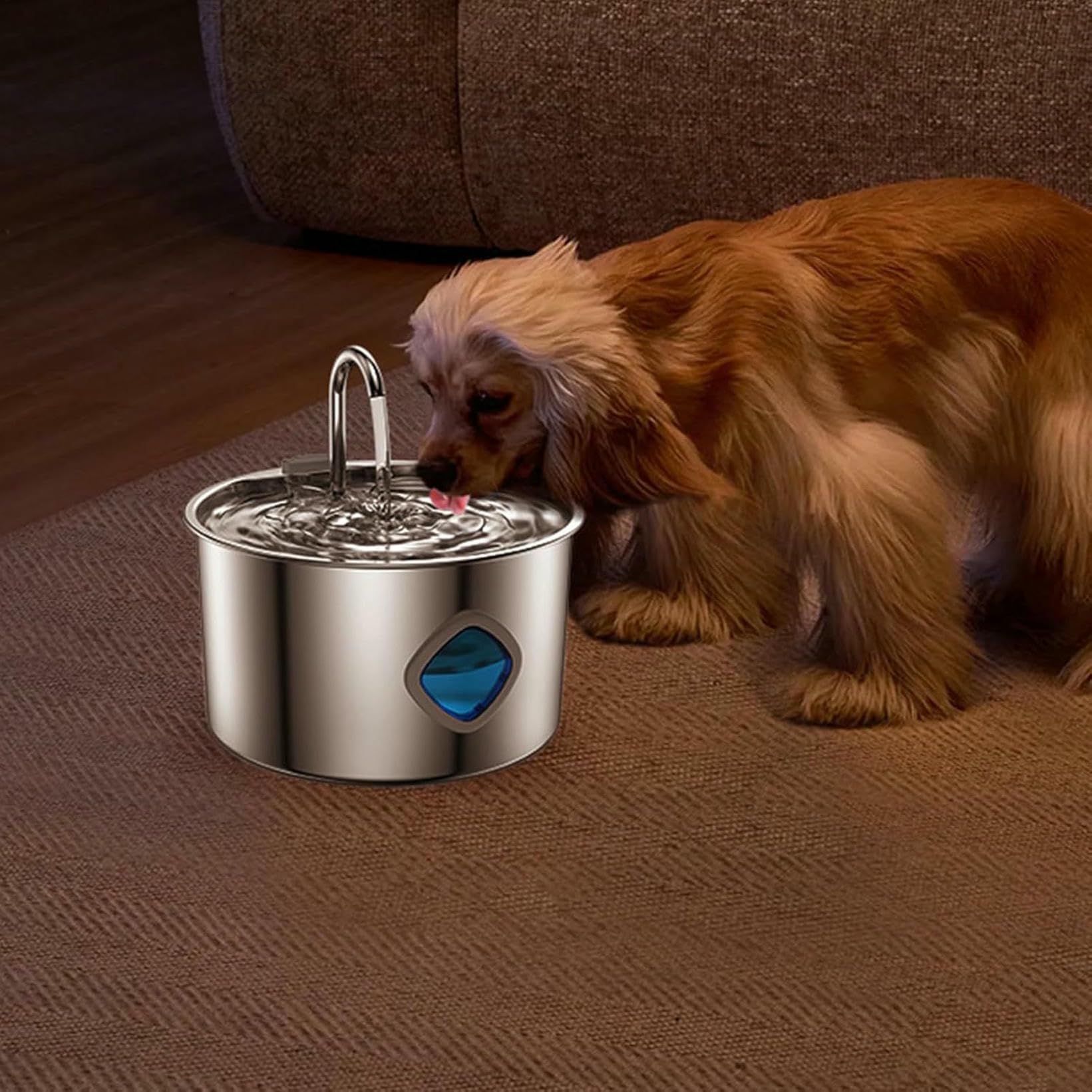 Acciaio Inossidabile con Acqua di Gatto, 3,2 Litri di Bere Gatto di Acqua, Bocchetto in Acciaio Inossidabile Forniture Automatiche per Animali Domestici per Annaffiare