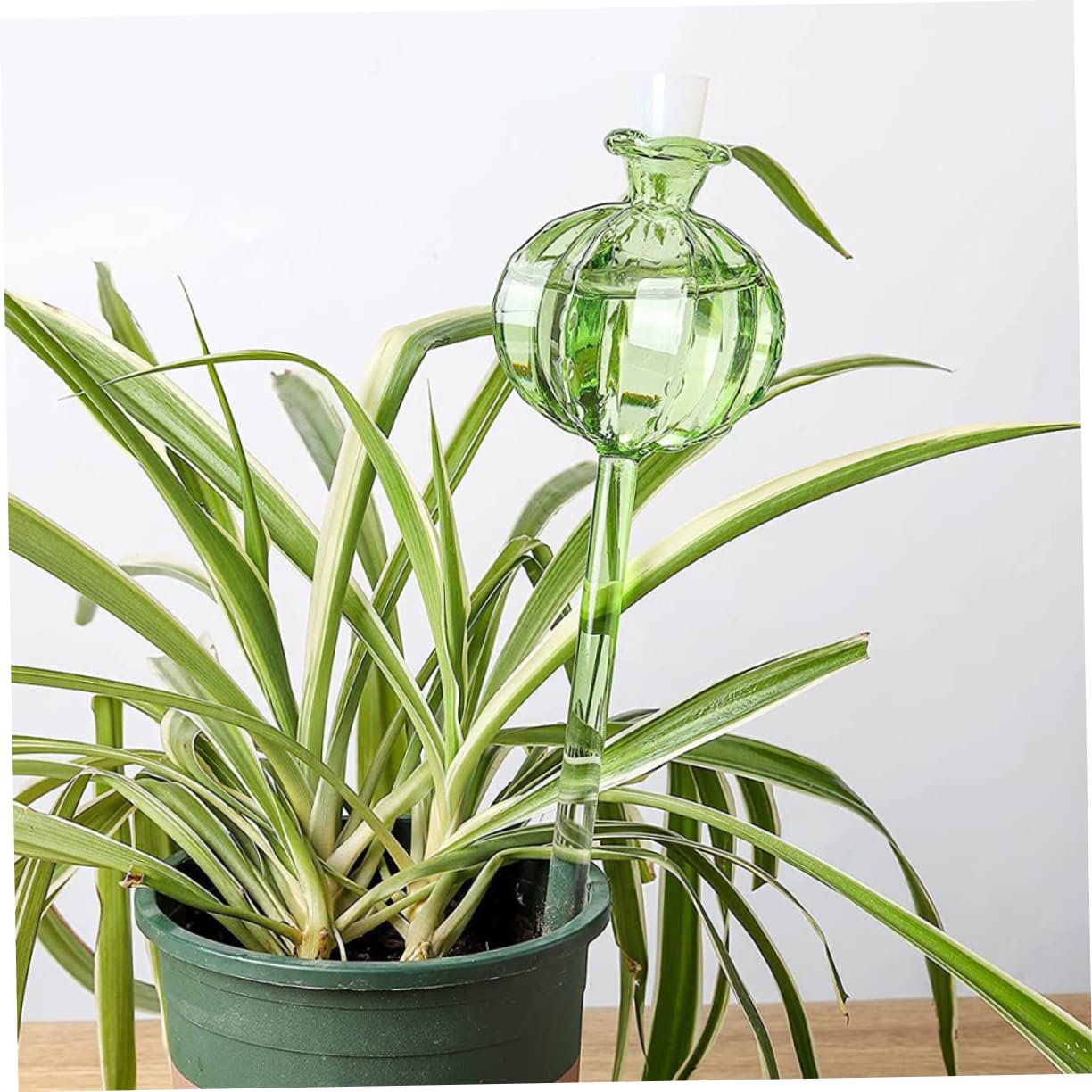 IWOWHERO 3Pcs Automatic Plant Watering Globes Clear Glass Self Watering System for Potted Plants Durable and Decorative Watering Tool for Home Gardening