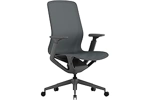 Laura Davidson Mesh Office Chair: Comfort and Style for Your Workspace