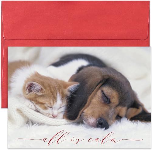 Masterpiece Studios Holiday Collection Brights Cards 16 Cards/Envelopes, All Is 