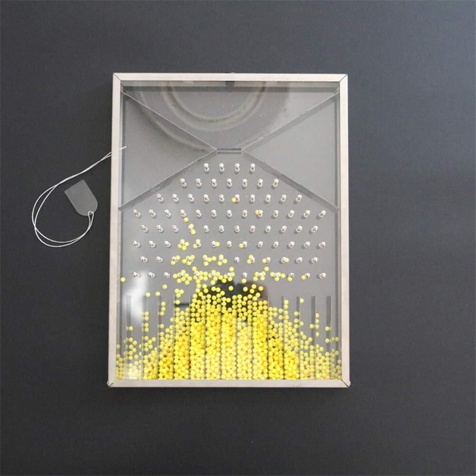 TIANQIHAO Physical Experiment Model Dalton Board, Galton Board Physics Teaching Instrument Electromagnetism Teaching Tool High School Physics Instruments To Study Random Phenomenon